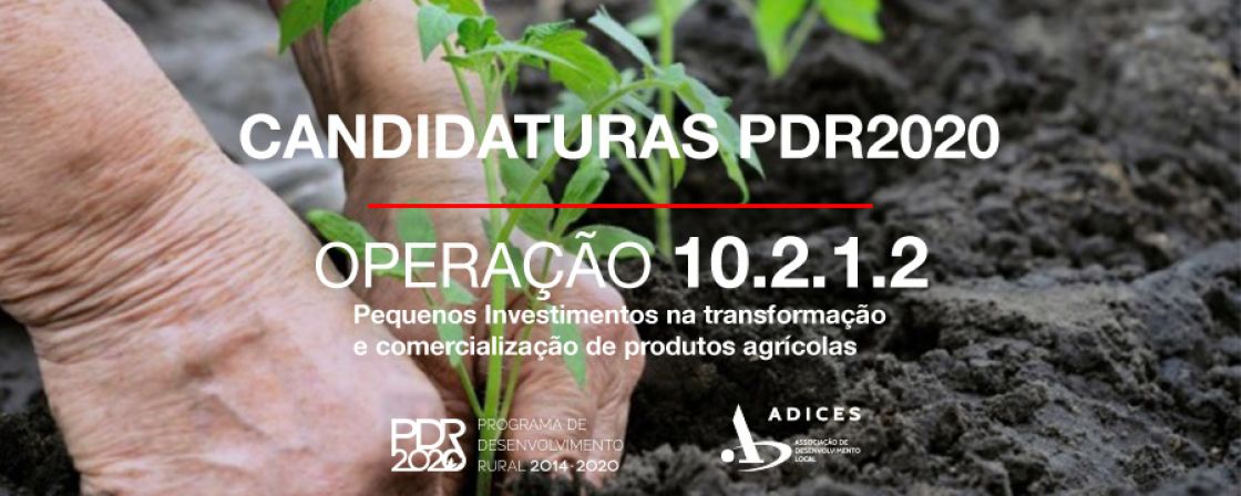 2º CONCURSO - Pequenos Investimentos na transformação e comercialização de produtos agrícolas - OP 10.2.1.2