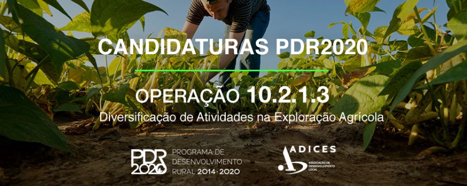 6º CONCURSO [ Operação 10.2.1.3 ] - Diversificação de Atividades na Exploração Agrícola