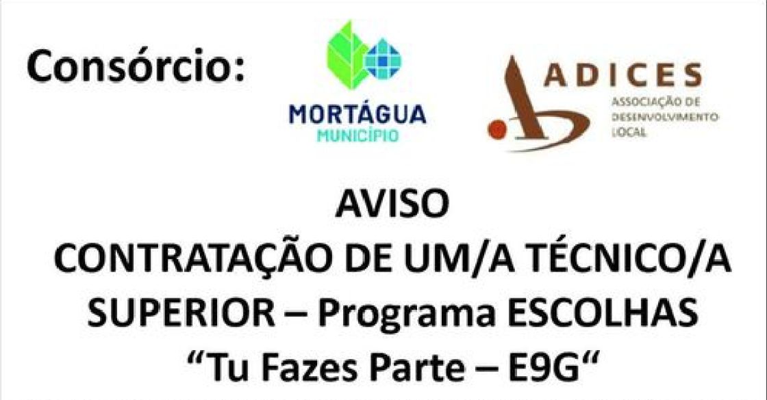 AVISO CONTRATAÇÃO DE UM/A TÉCNICO/A SUPERIOR — Programa ESCOLHAS &quot;Tu Fazes Parte — E9G&quot;